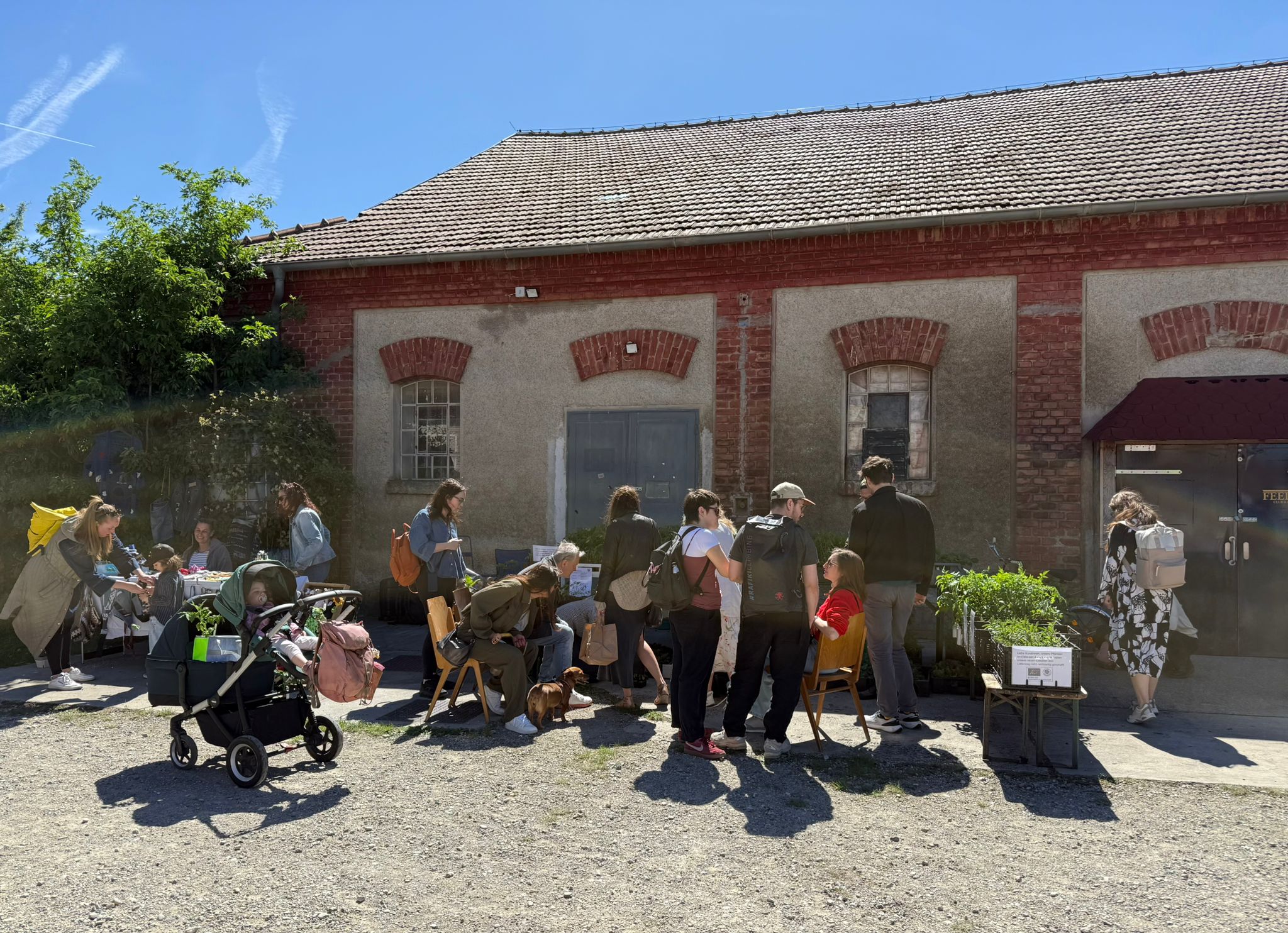 eae70413-c117-421e-a28e-f2f17ae10d48